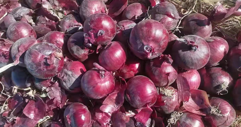 upload/20240813163617.jpg